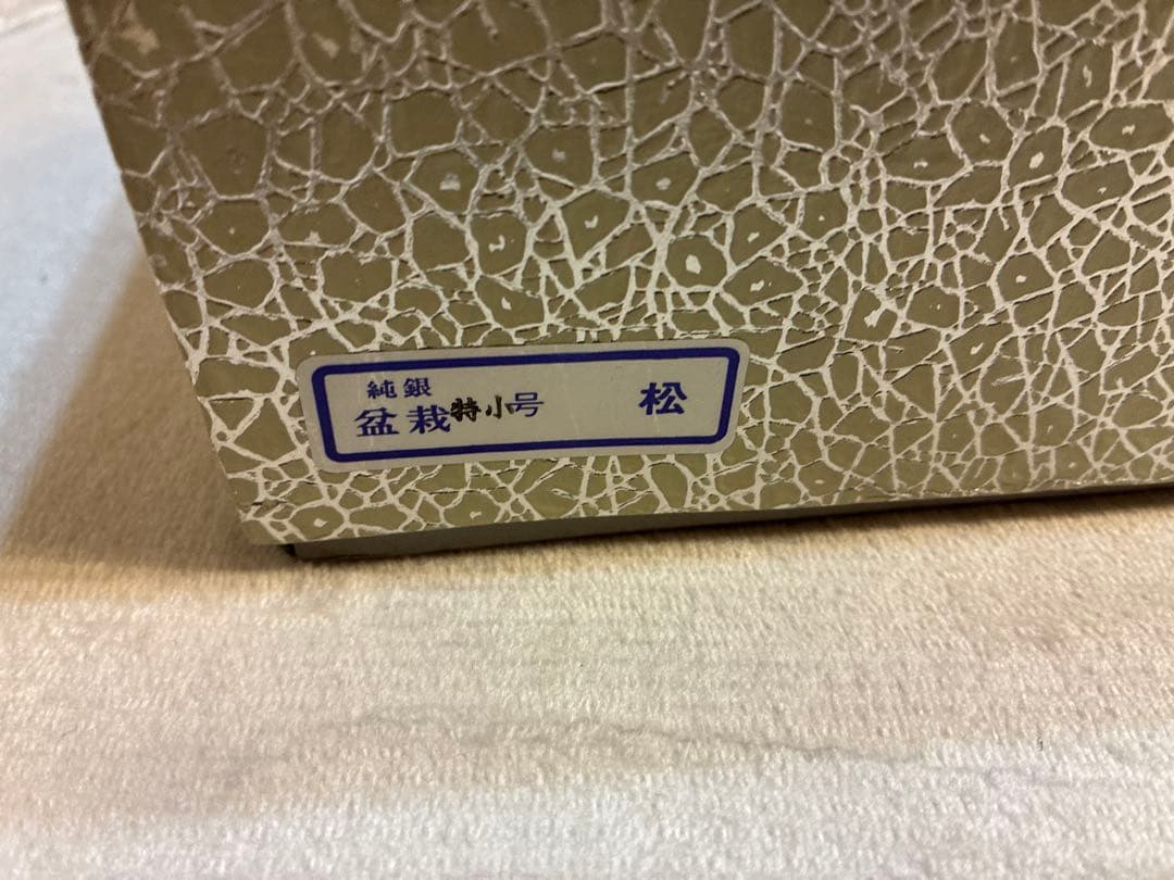 メ*ル様 純銀製 光則作 盆栽 特小号「松」ガラスケース・紙箱付き