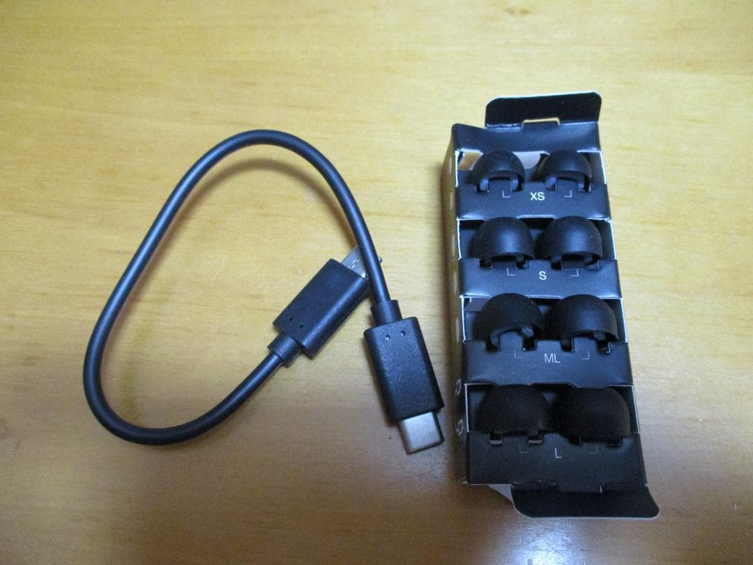 Technics AZ100 テクニクス EAH-AZ100