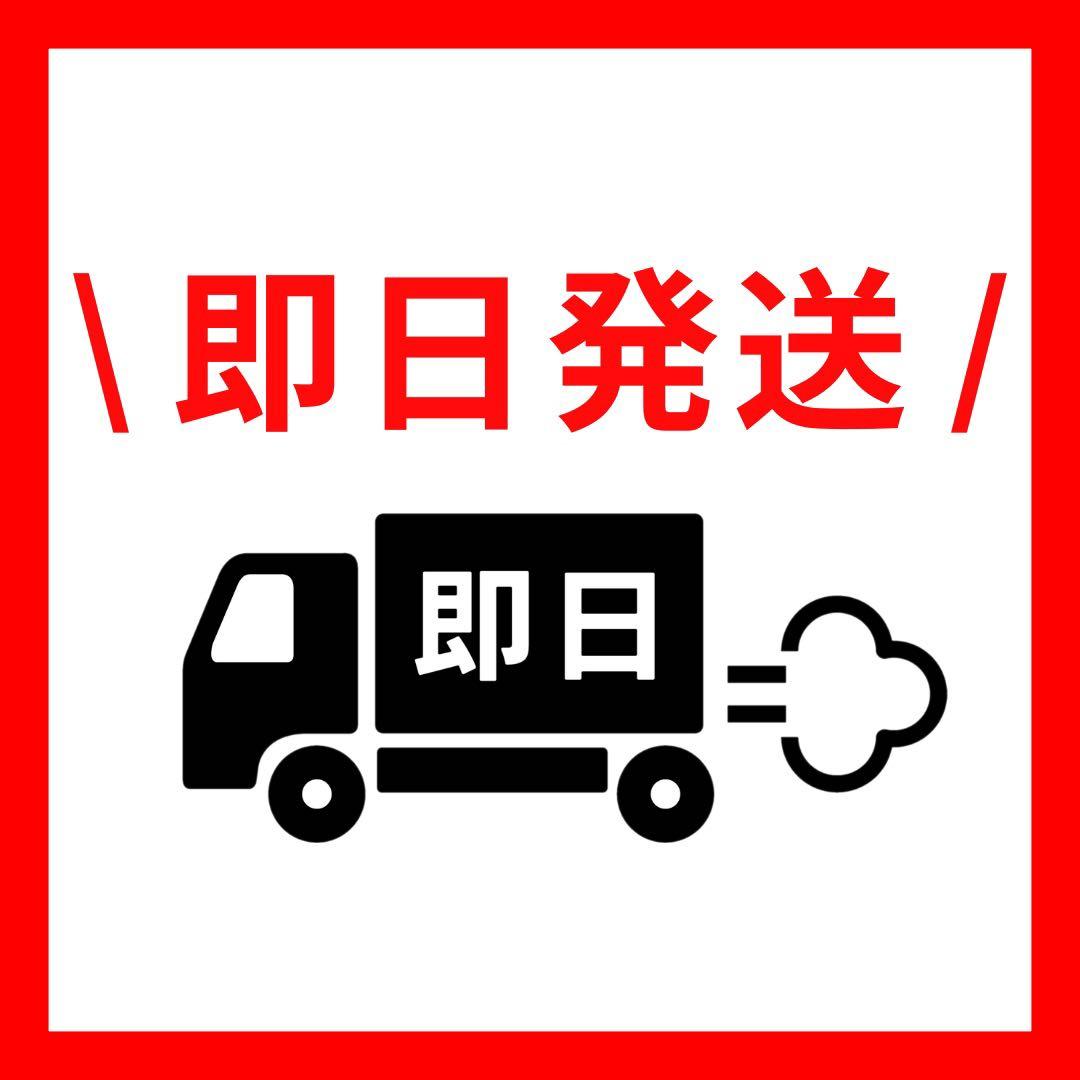 ガーベラ　2本セット