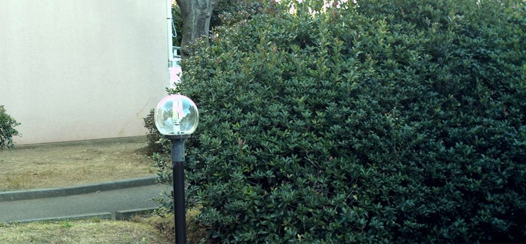 作例あり 動作品 Canon A-1 フィルムカメラ