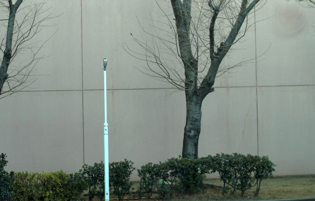 作例あり 動作品 Canon A-1 フィルムカメラ