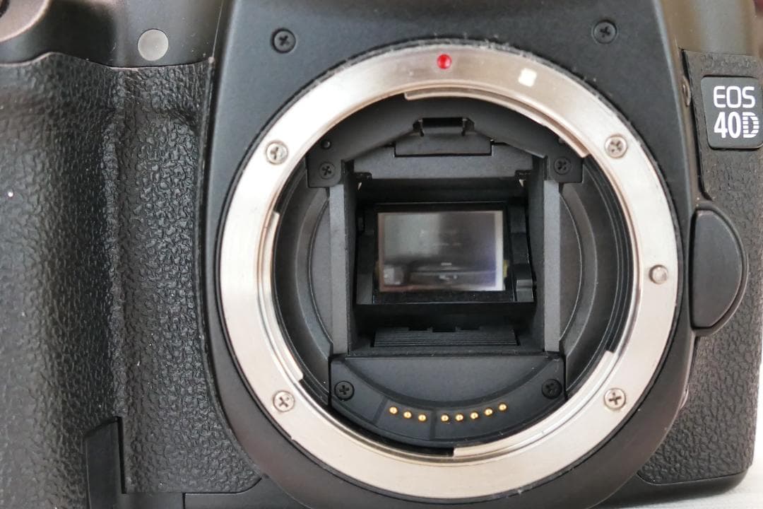 外観美品 CANON EOS 40D レンズ付き