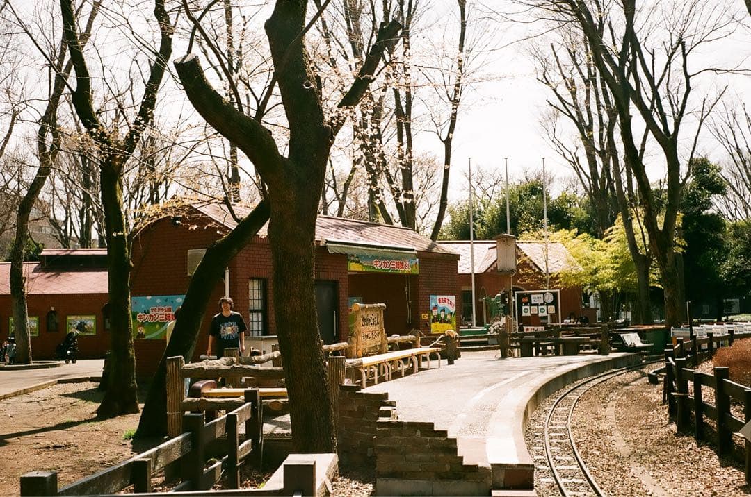 【作動保証1ヶ月】整備済、完動品/ OLYMPUS TRIP35　オリンパス