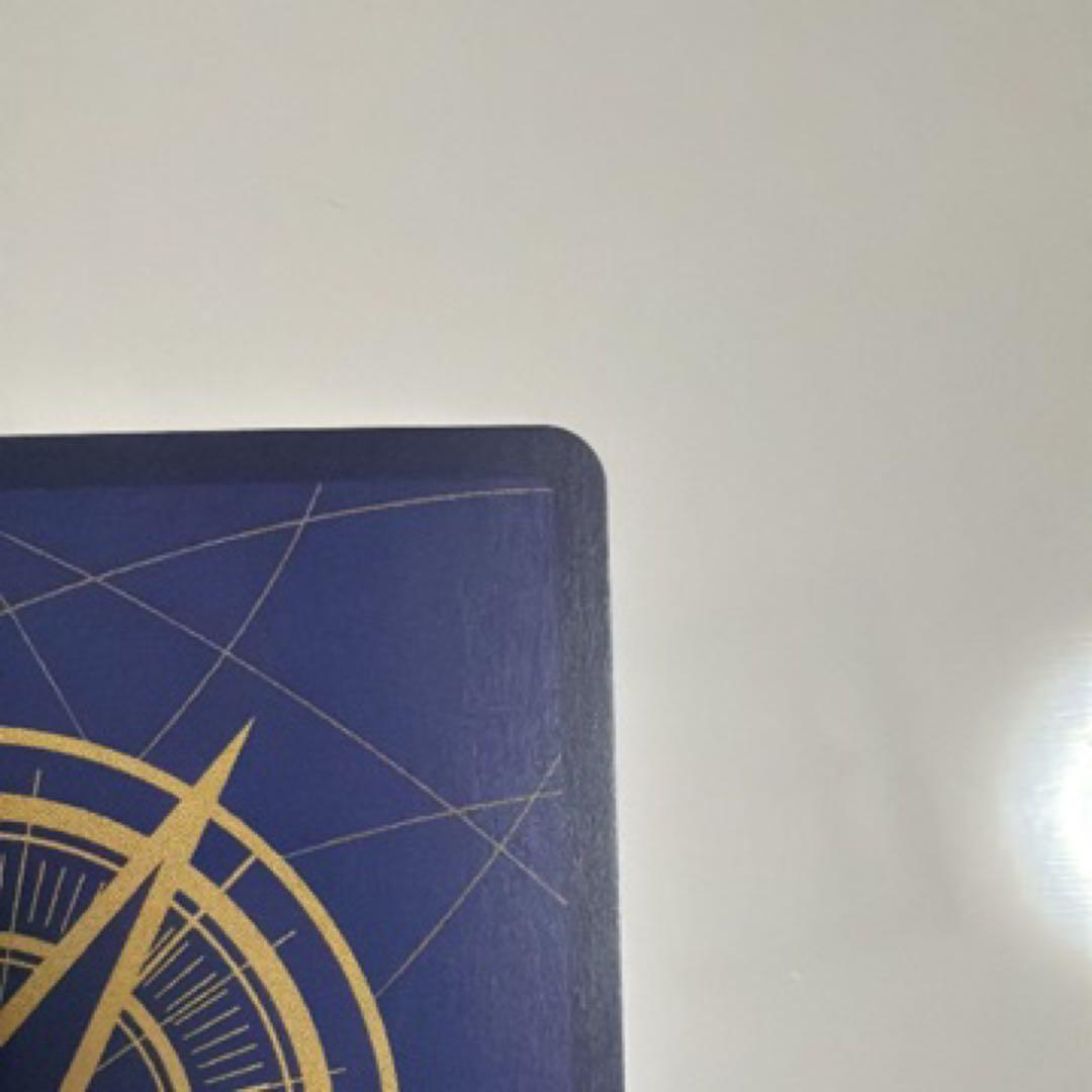 モンキー・D・ルフィ SEC パラレル OP05-119 PSA ニカルフィ