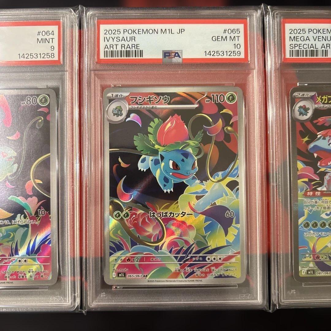 3連番　フシギダネ フシギソウ AR メガフシギバナex SAR