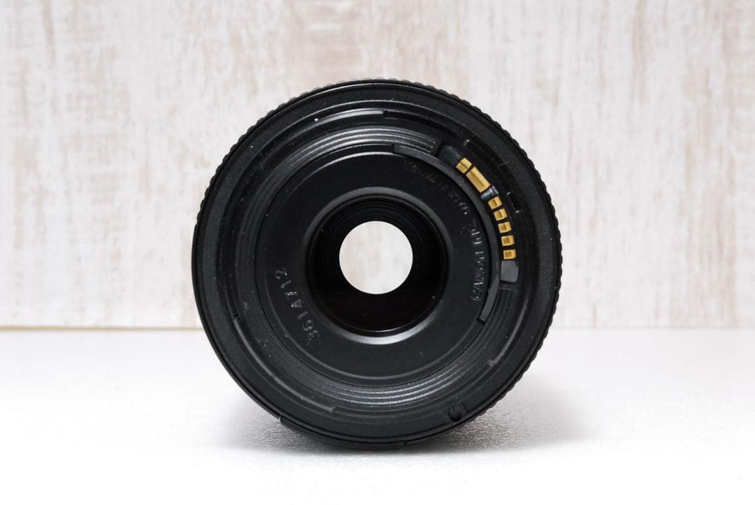 超望遠レンズ付✨ 初心者からプロまで✨高速連写 Canon 7D MarkⅡ