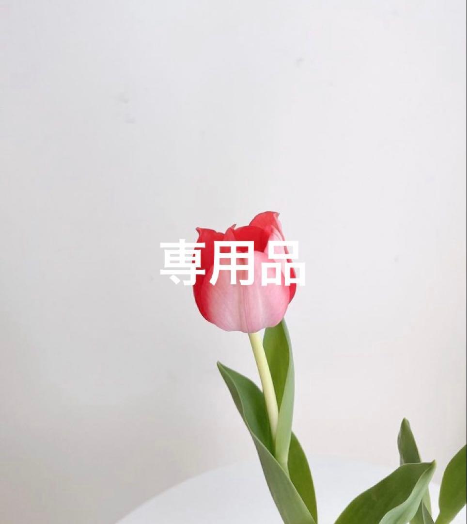 専用品です❣️