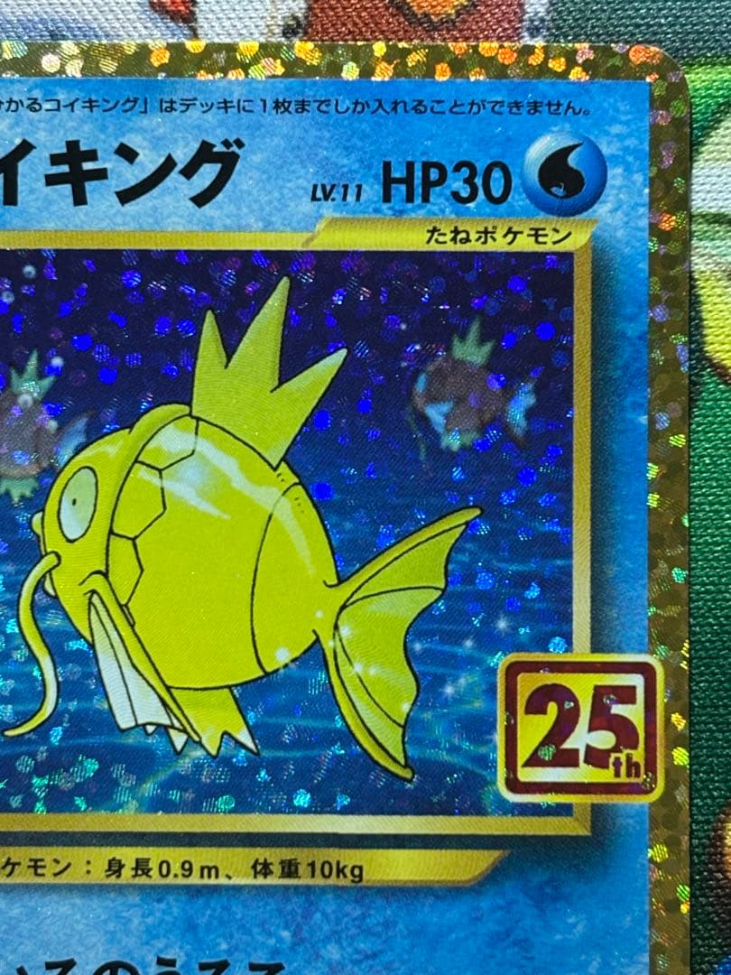 【美品】ひかるコイキング　25th