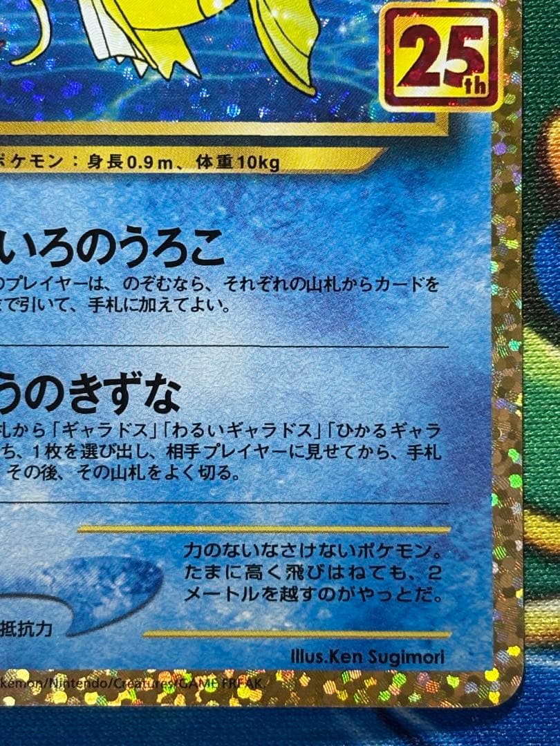 【美品】ひかるコイキング　25th