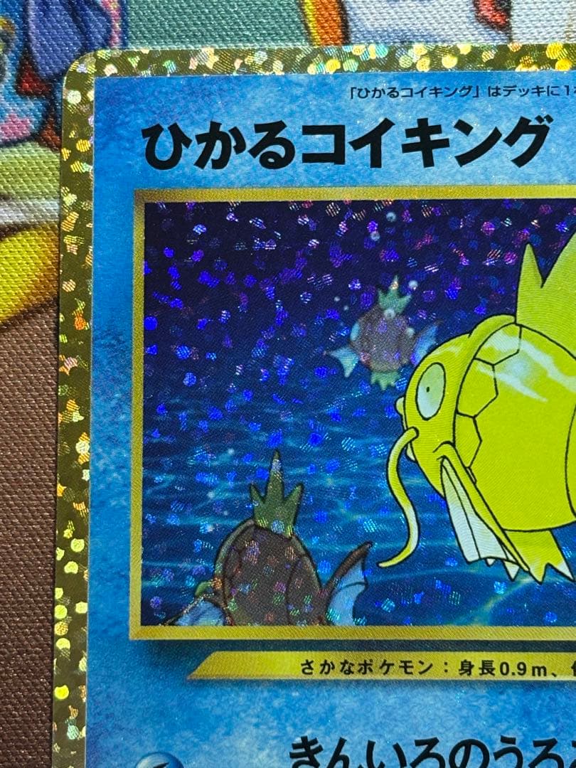 【美品】ひかるコイキング　25th