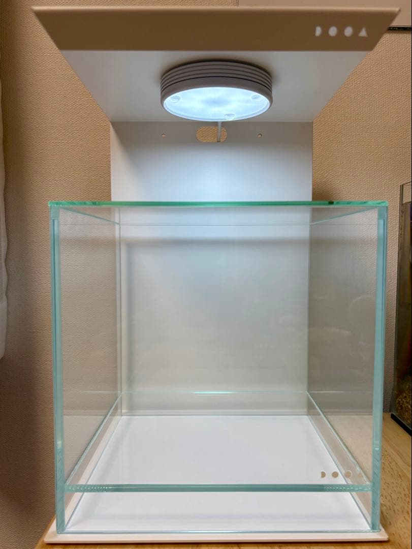 DOOAネオグラスエア20×20×20セット