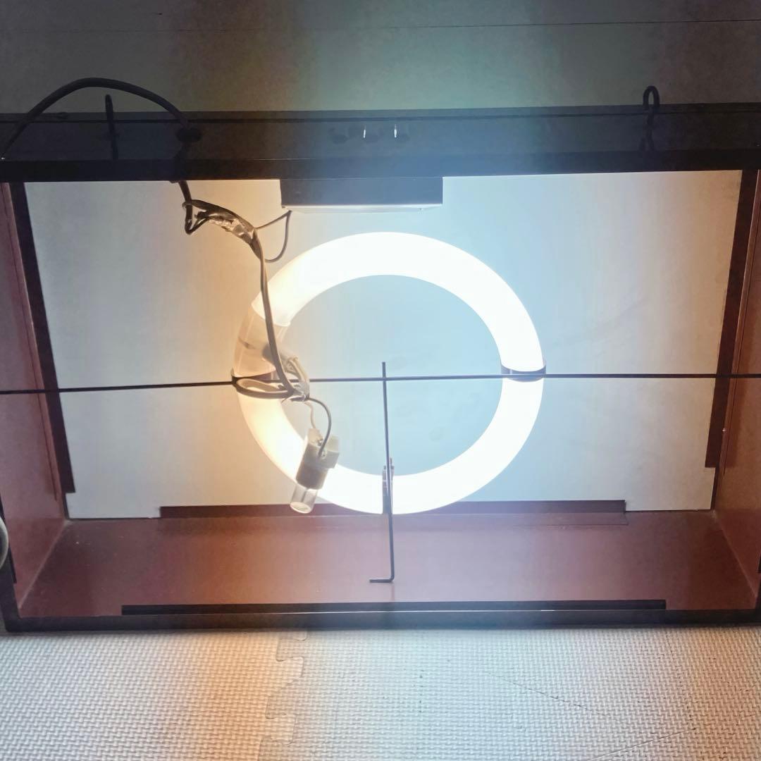 Lee ヴィンテージ　電飾看板　LEE ライト　看板　電球付き