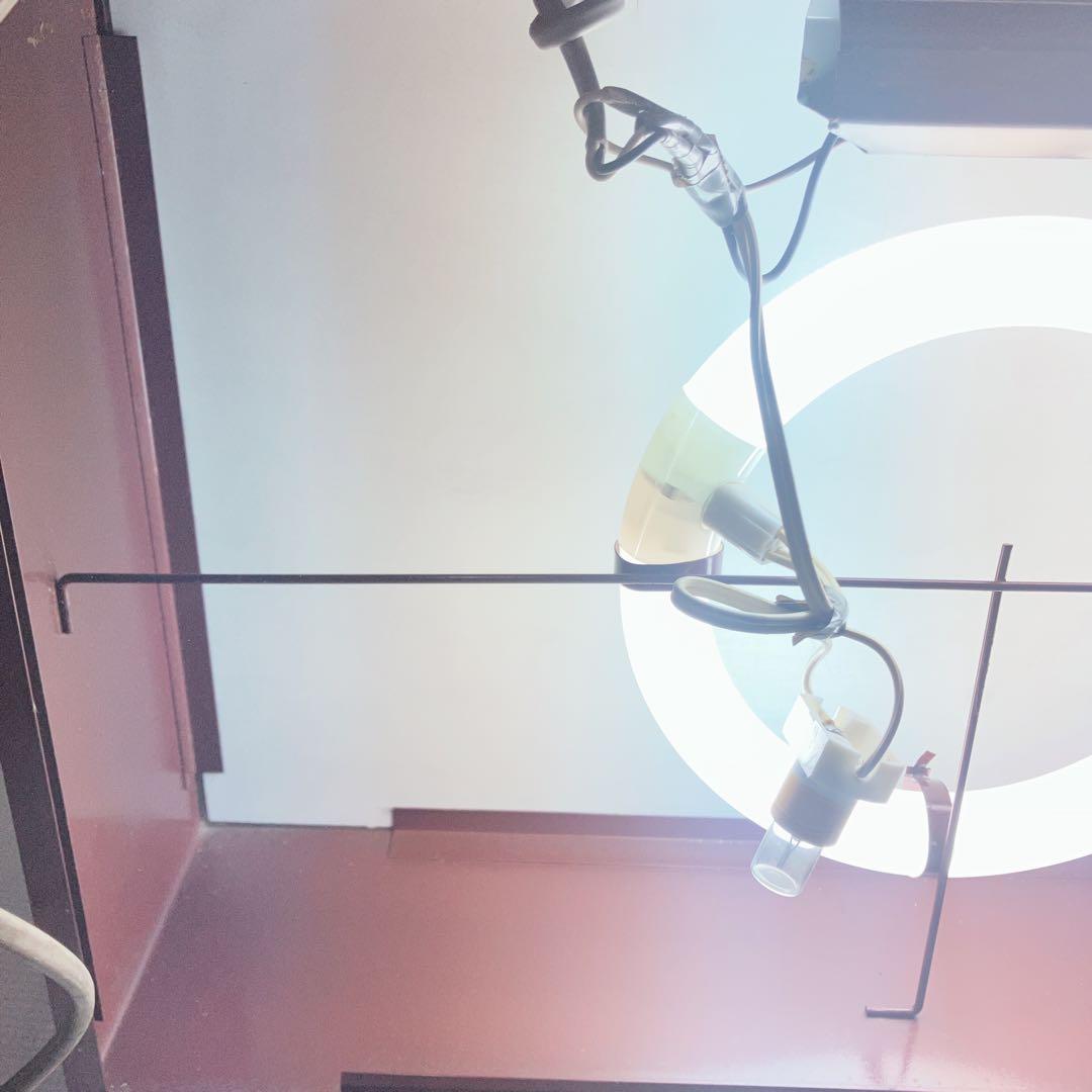 Lee ヴィンテージ　電飾看板　LEE ライト　看板　電球付き