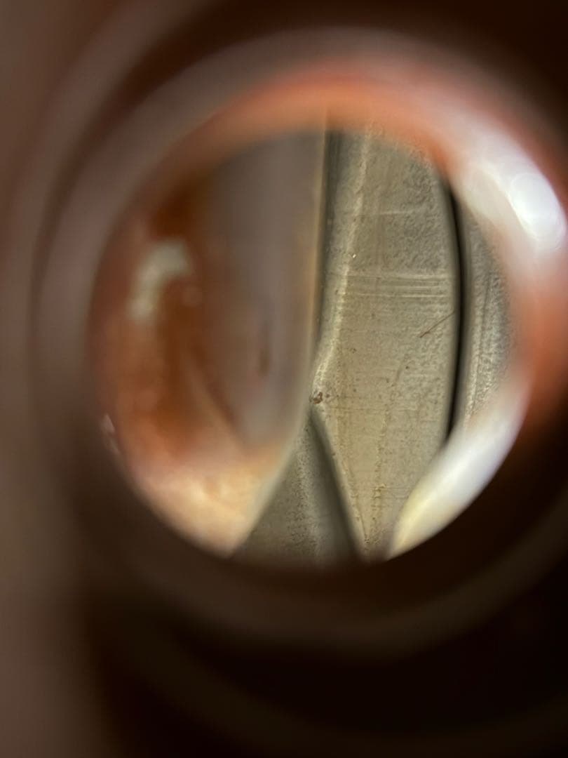 Triumph スクランブラー900 ガソリンタンク