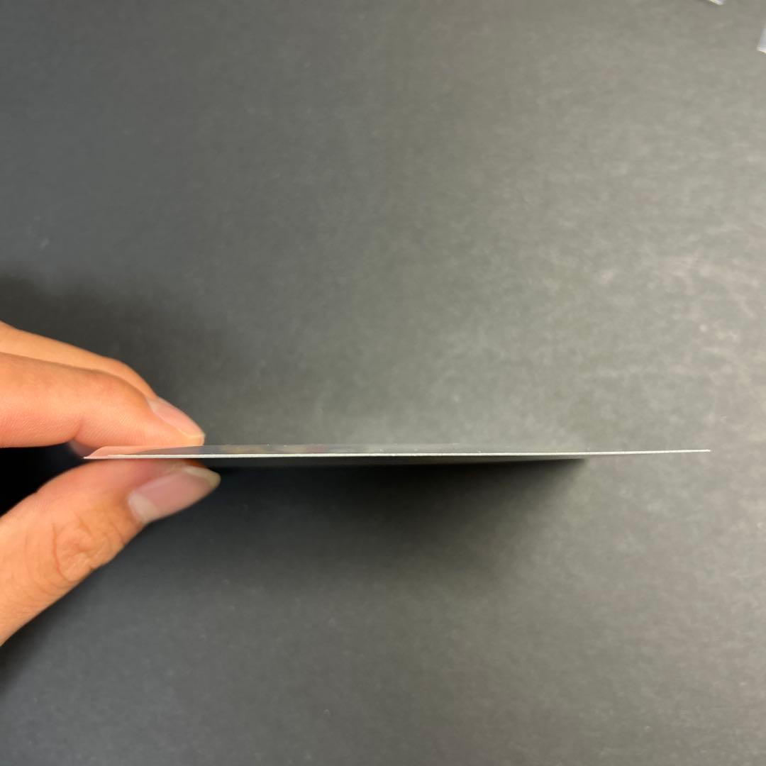 ピカチュウ大量発生チュウ！068