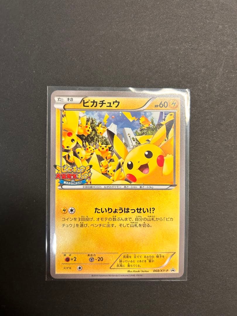 ピカチュウ大量発生チュウ！068