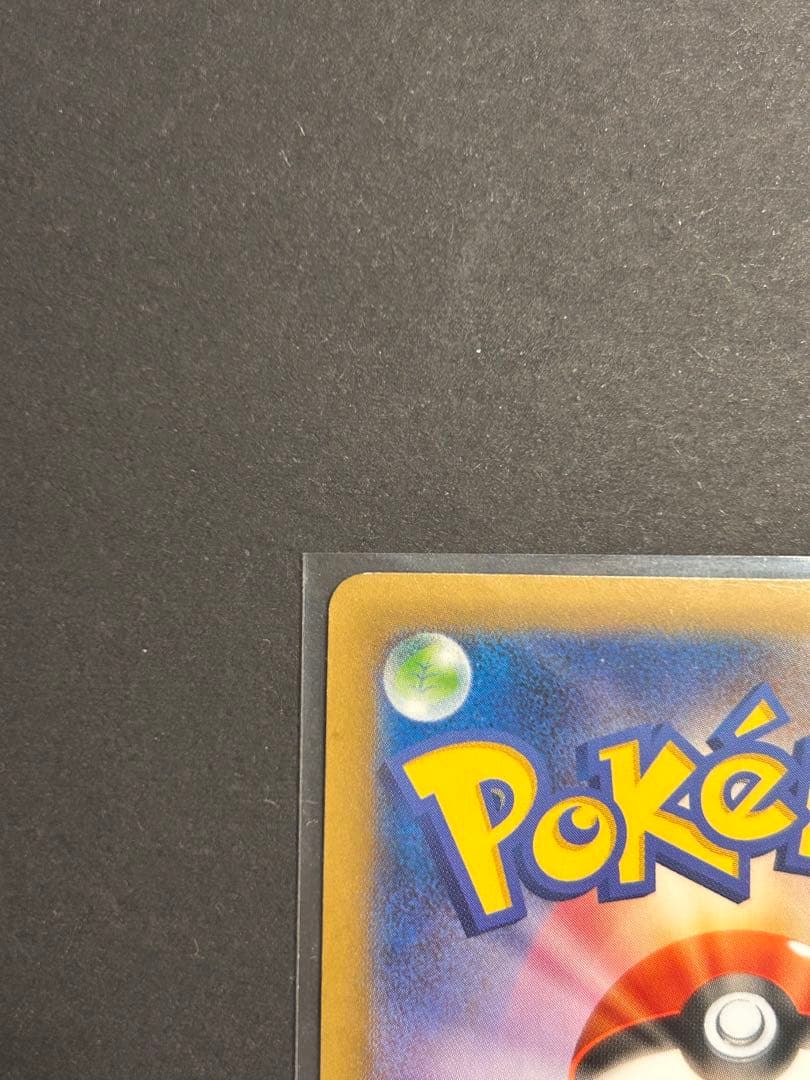 ピカチュウ大量発生チュウ！068