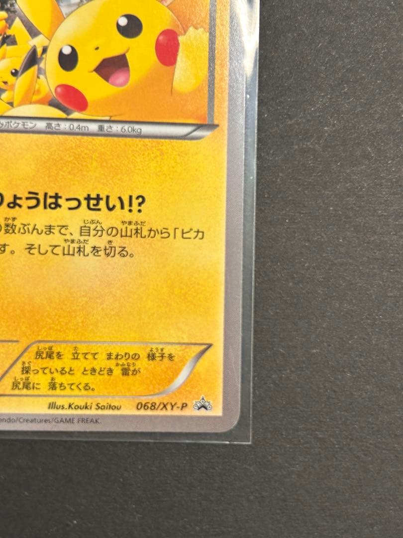 ピカチュウ大量発生チュウ！068
