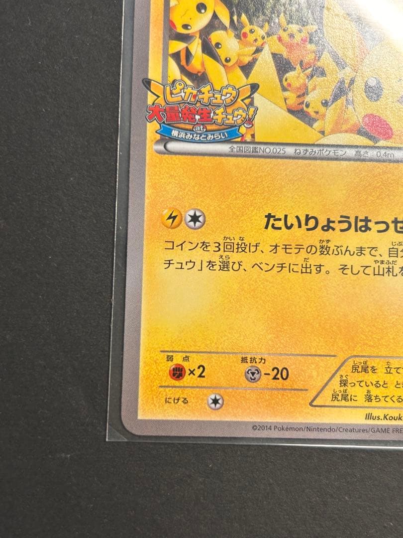 ピカチュウ大量発生チュウ！068