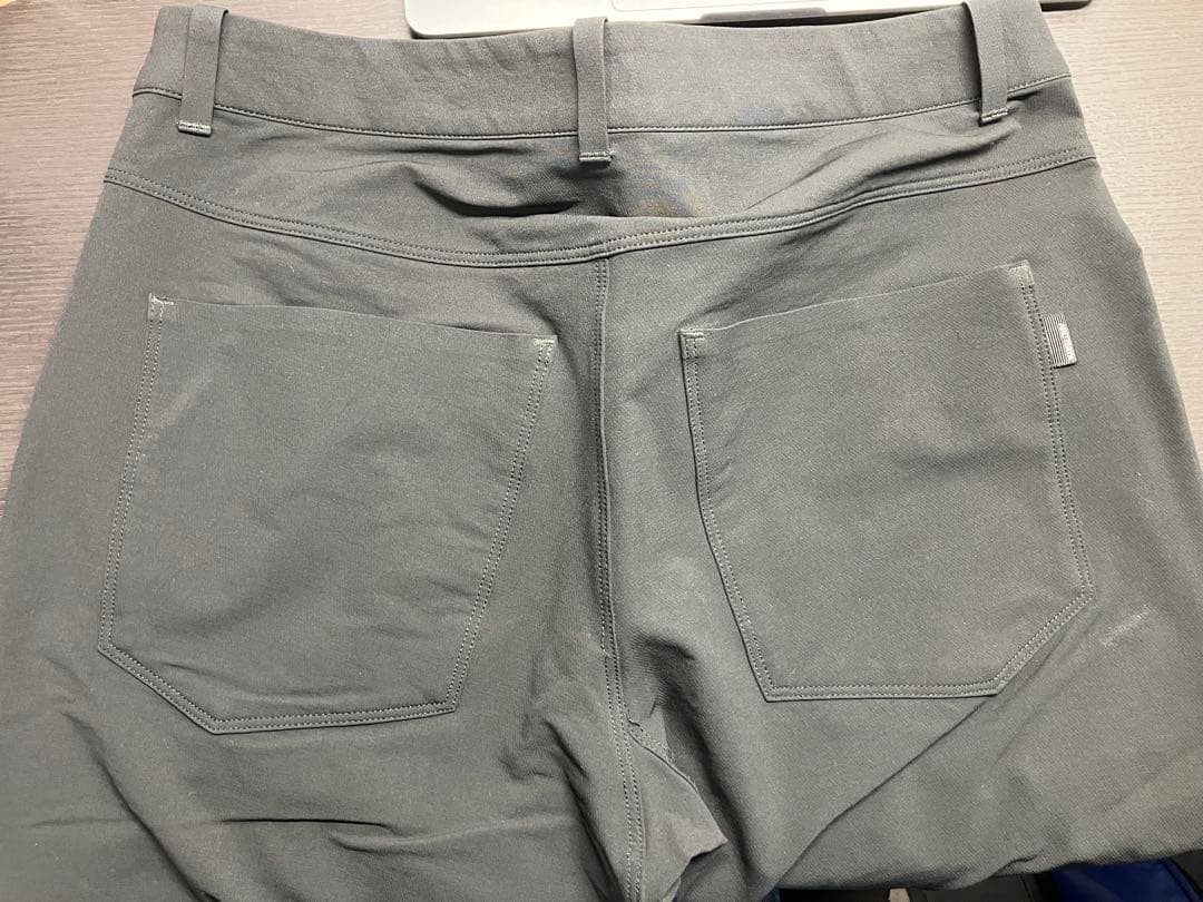 アークテリクス レヴォンウインターウェイトパンツ 30-R