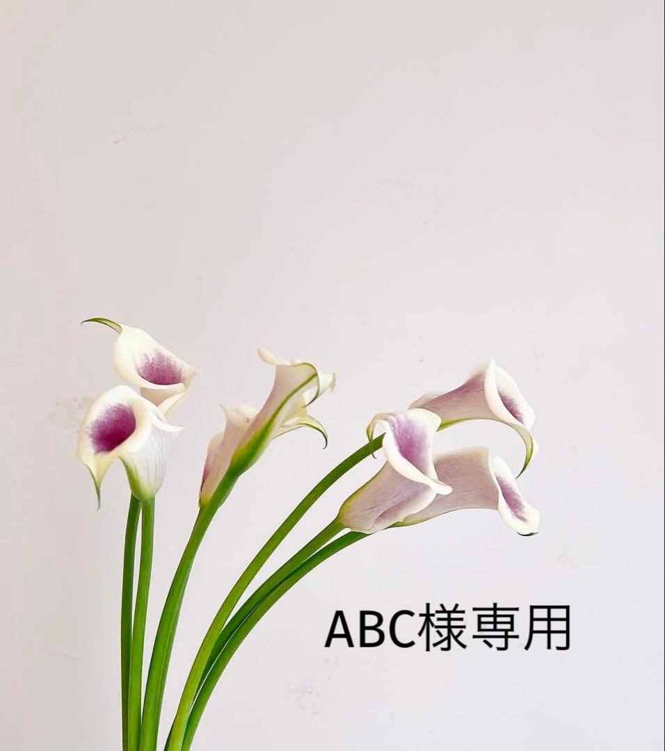 ABC品