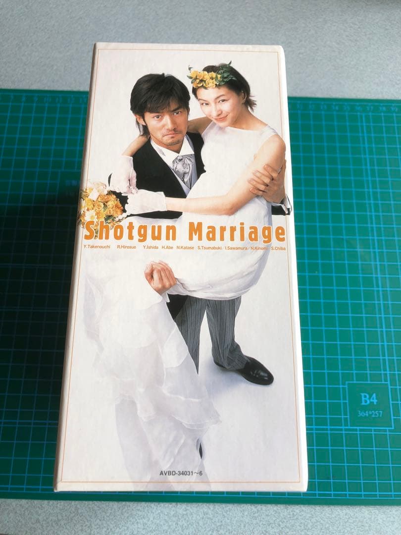 できちゃった結婚 竹野内豊 広末涼子 DVD全巻完結セット