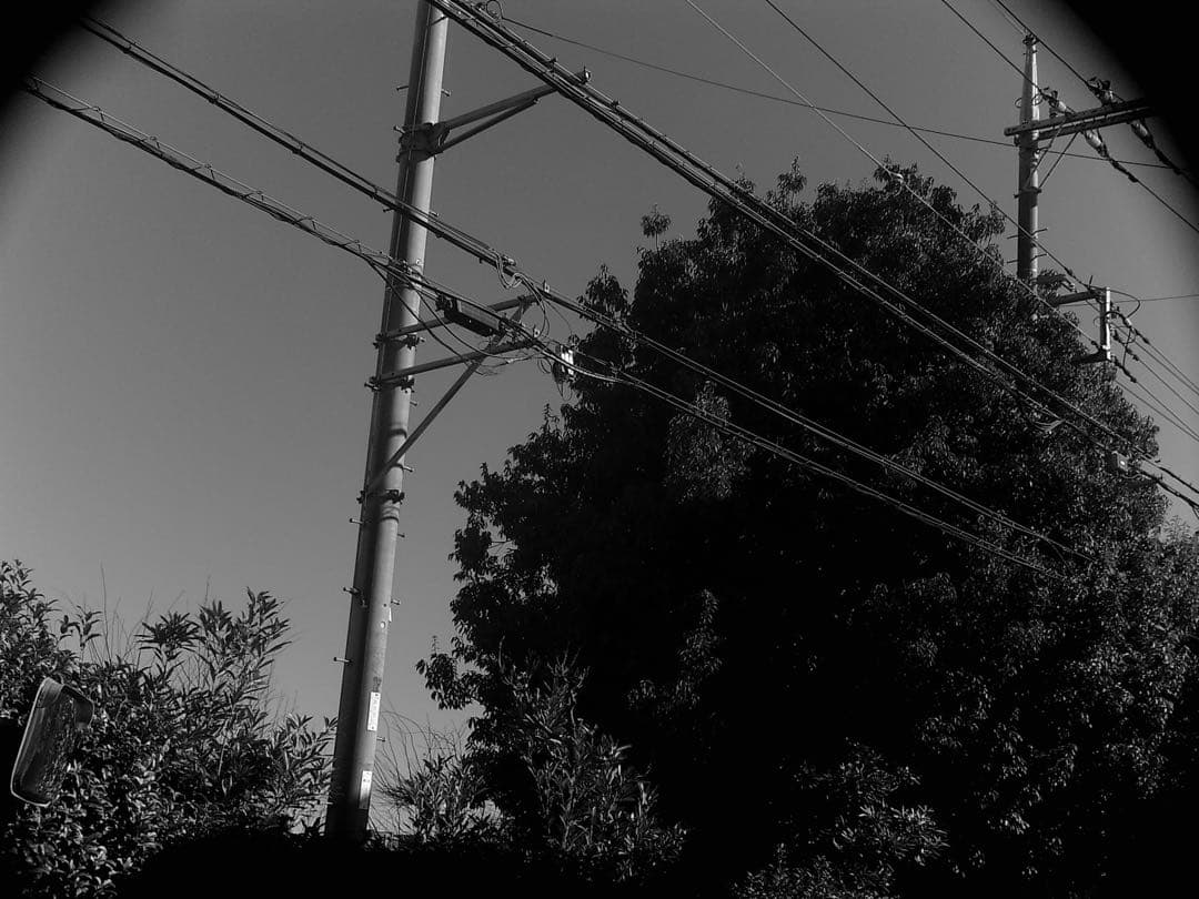 セール　HOLGA デジタルカメラ ピンク