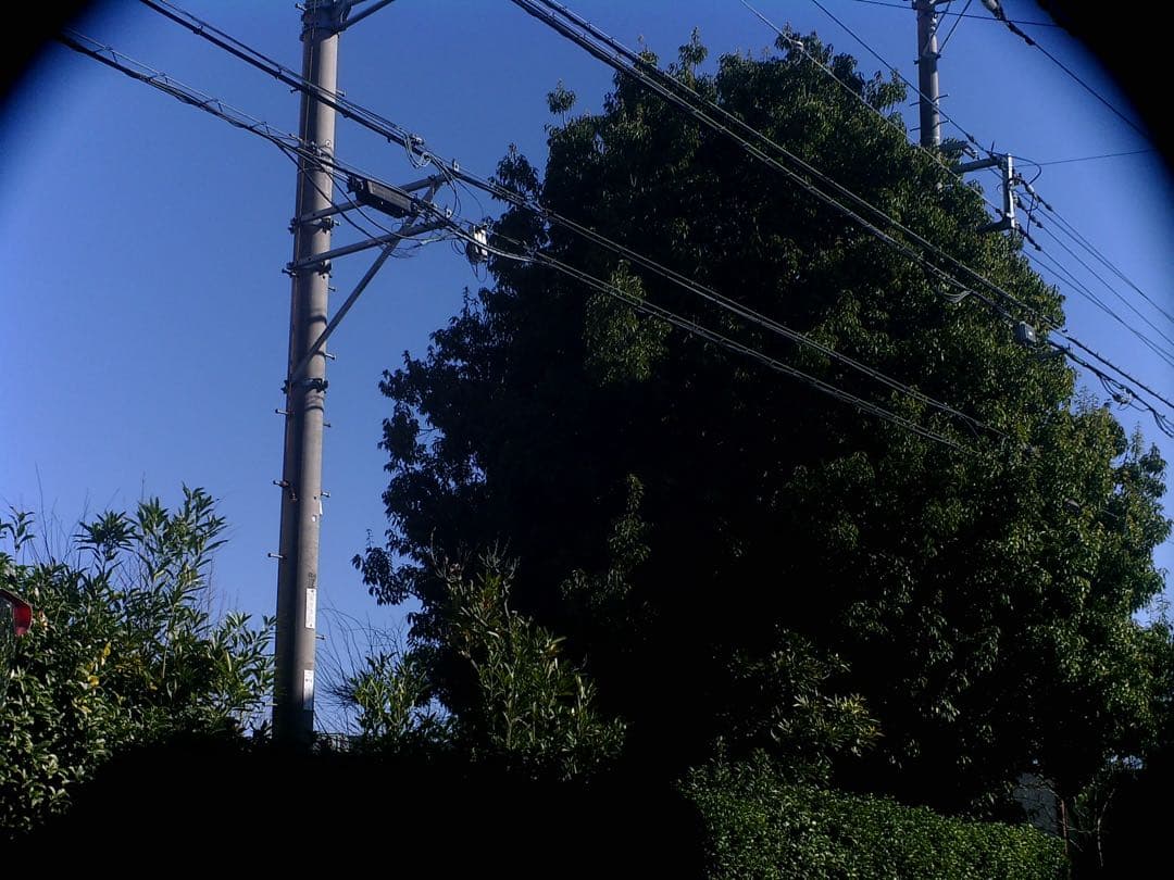 セール　HOLGA デジタルカメラ ピンク