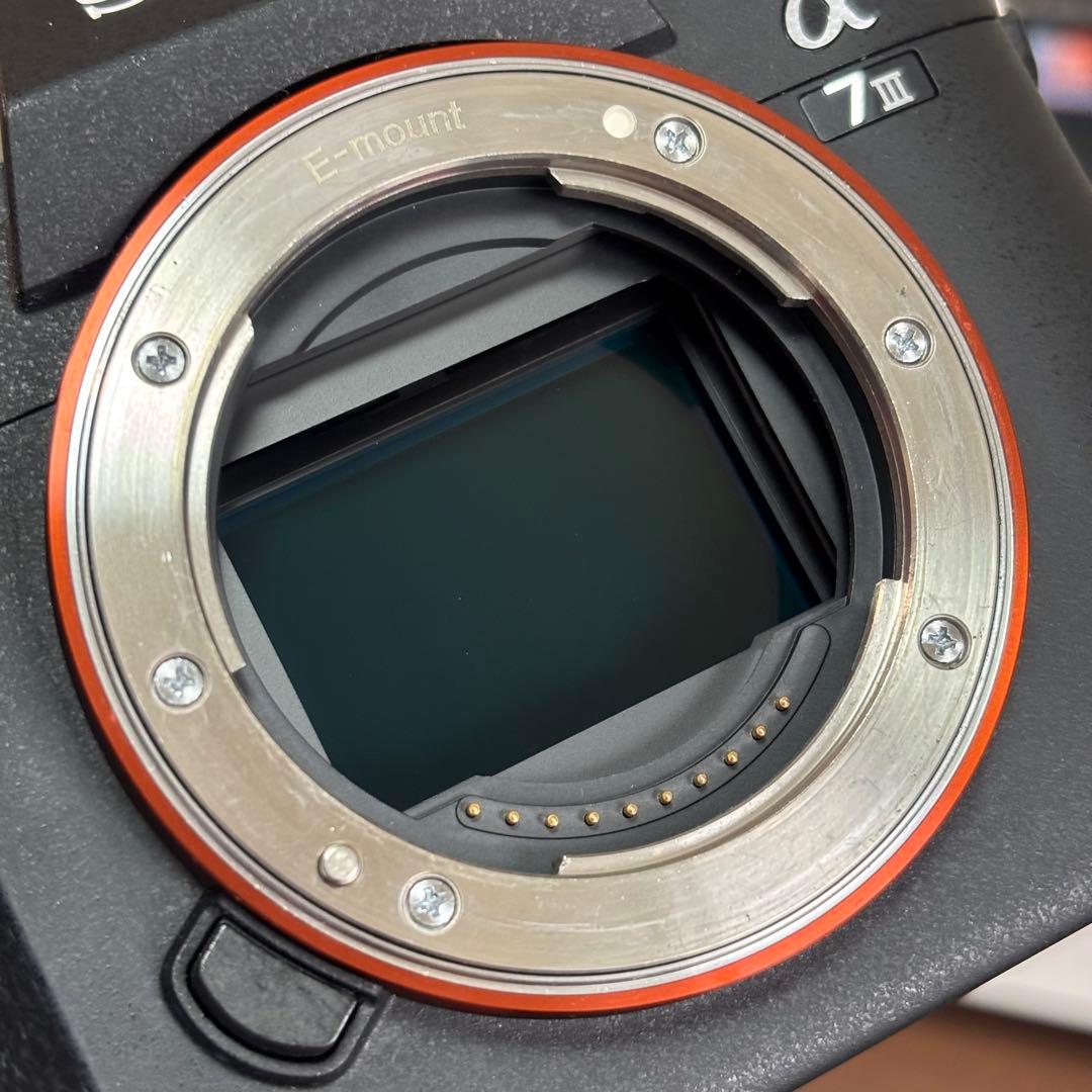 【美品】SONY α7 III ILCE-7M3 シャッター14,750枚程度