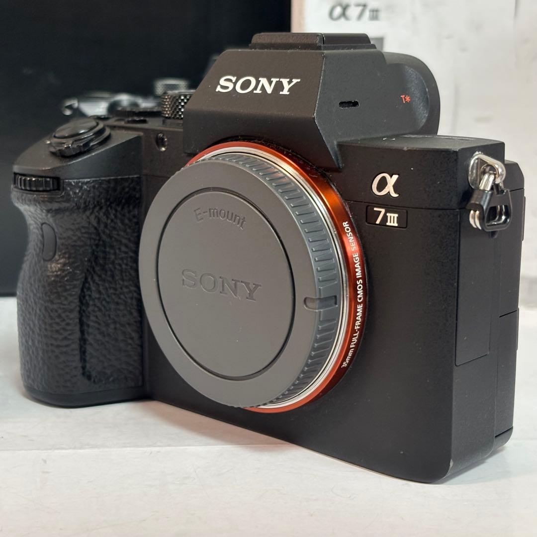 【美品】SONY α7 III ILCE-7M3 シャッター14,750枚程度