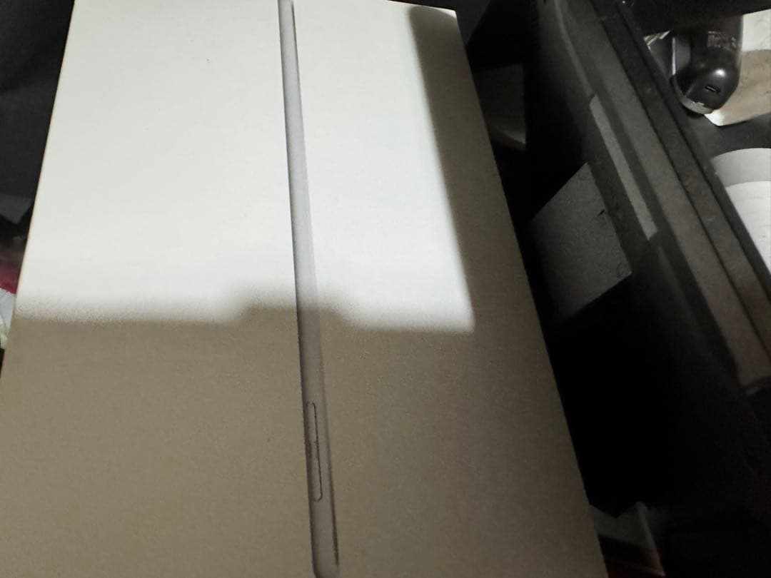 美品　iPad mini 64GBホワイト 本体 第5世代　セルラータイプ