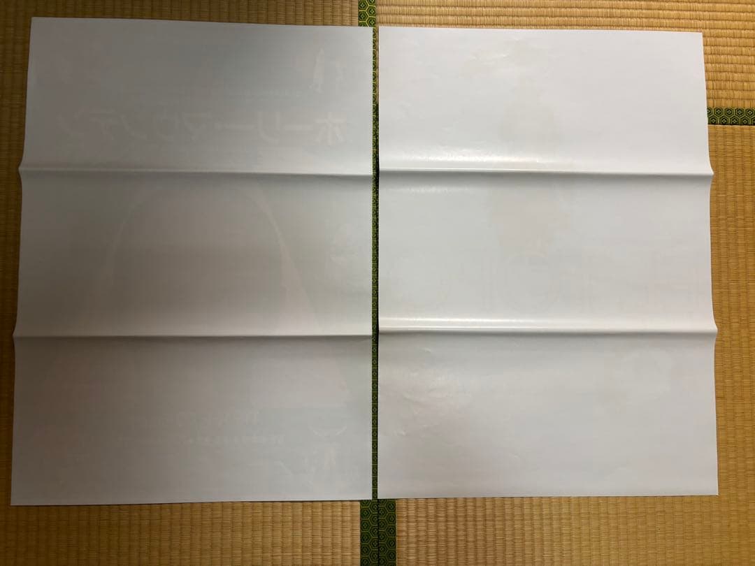 洋画　エル・トポ　ホーリー・マウンテン　B2ポスター　2枚セット