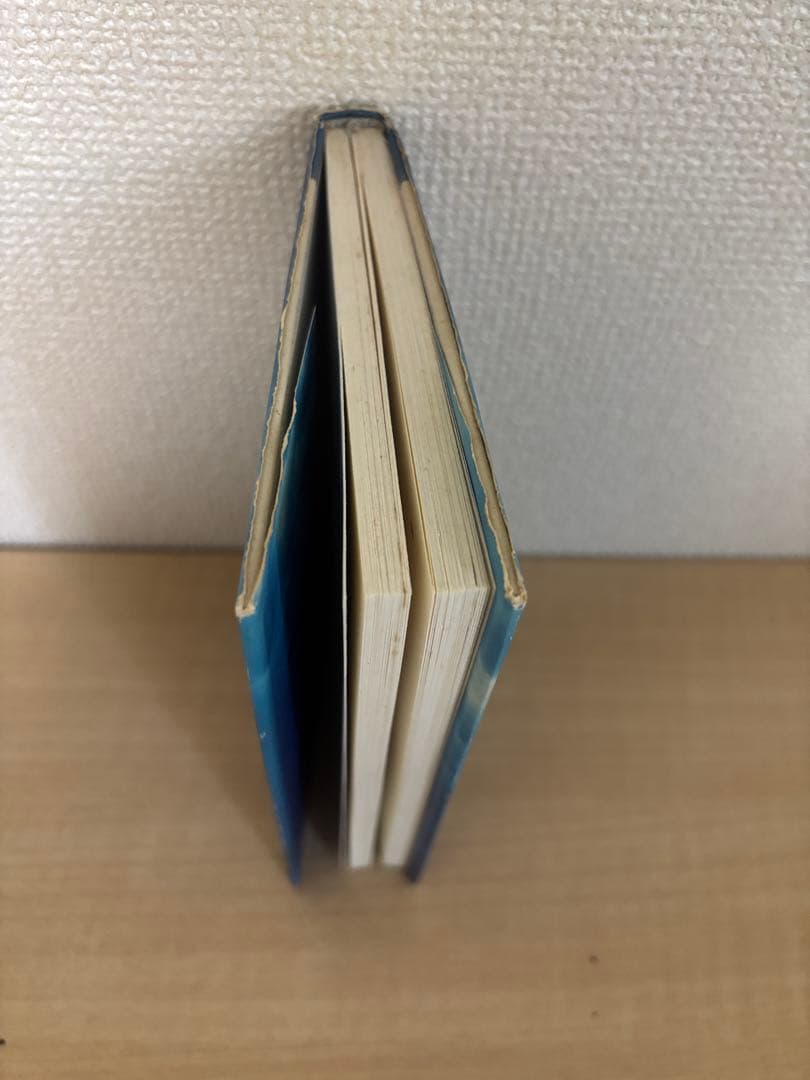 絶版本　この世に不可能はない 政木和三著