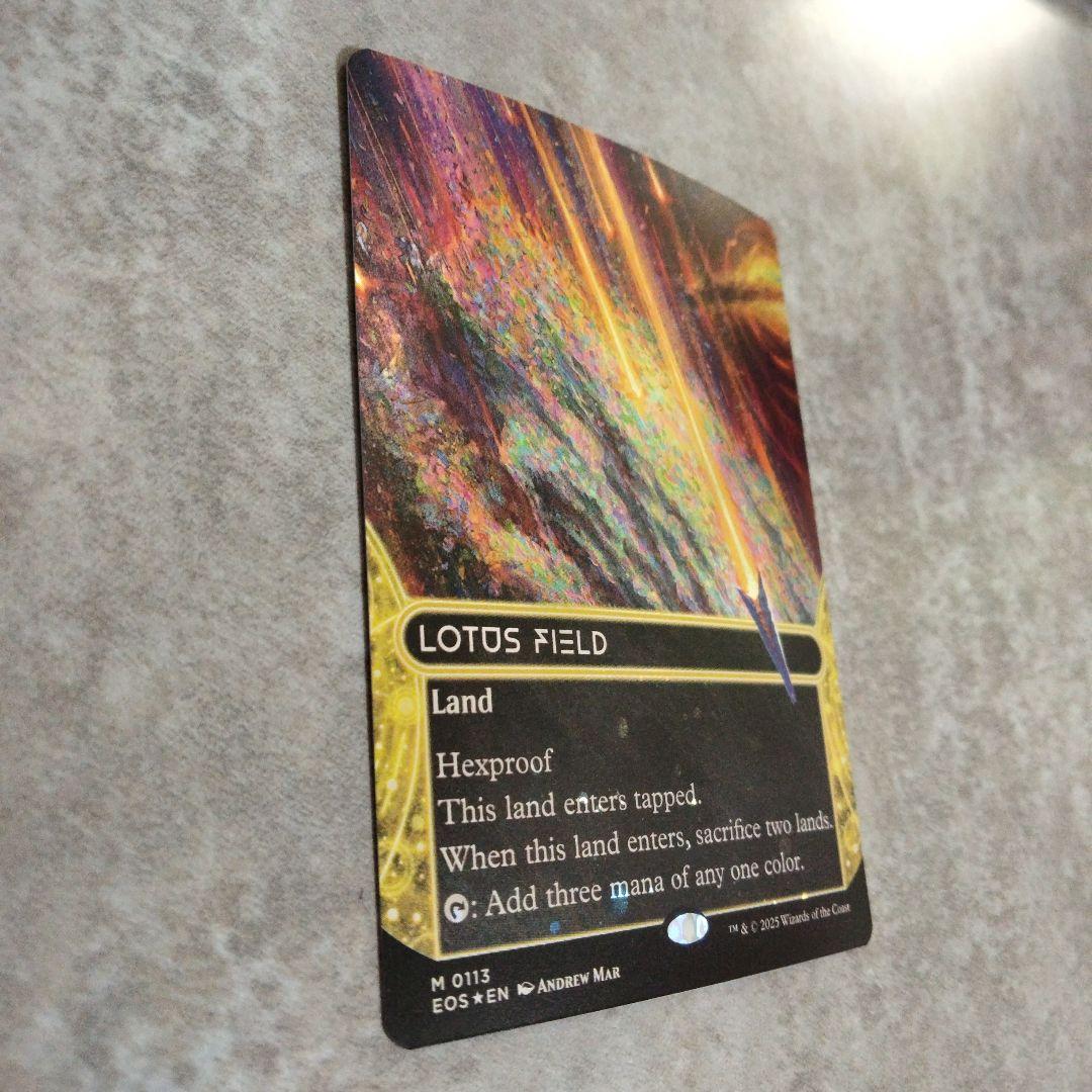 MTG　英語版foil　睡蓮の原野