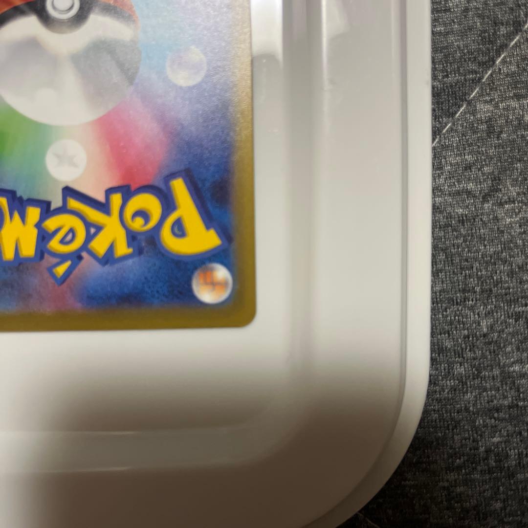 カナリィSAR 即日発送可能！