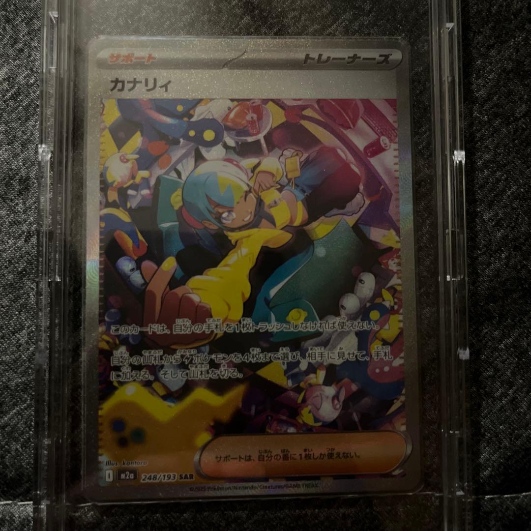 カナリィSAR 即日発送可能！