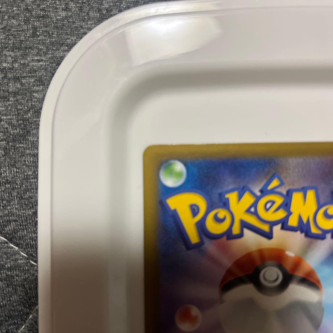 カナリィSAR 即日発送可能！