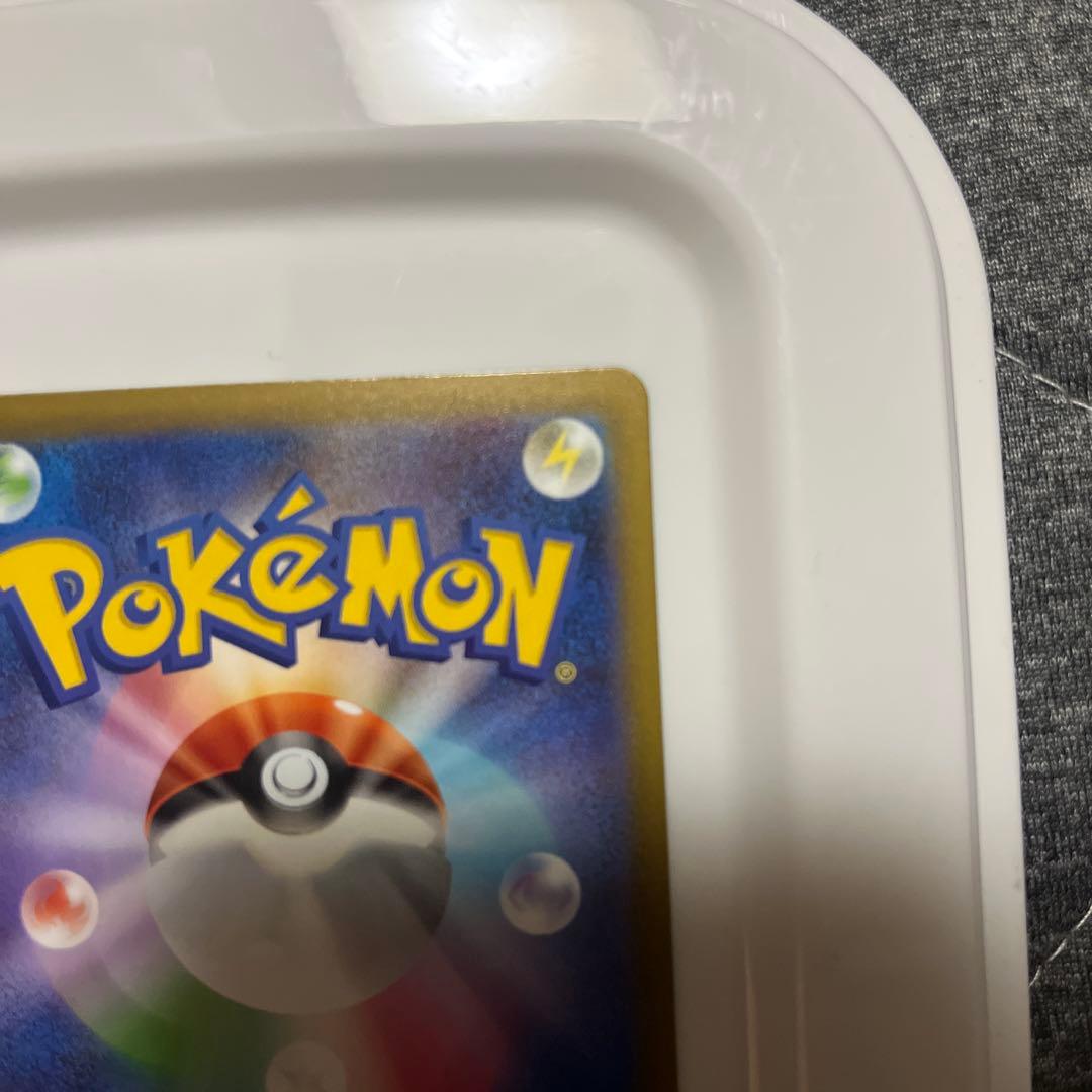 カナリィSAR 即日発送可能！