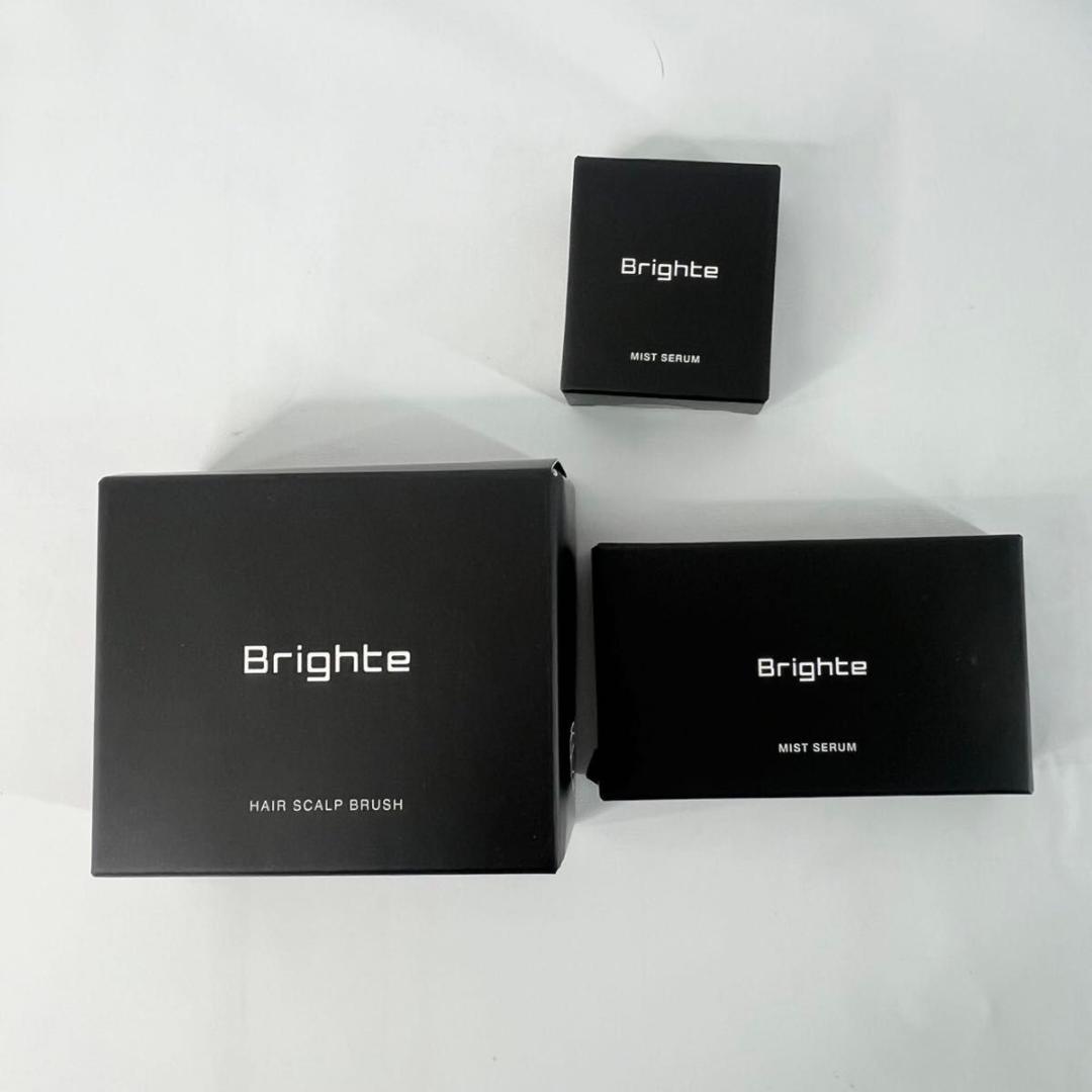 美品 Brighte シャワードライヤー BRT-SD173 新品ミスト・ブラシ