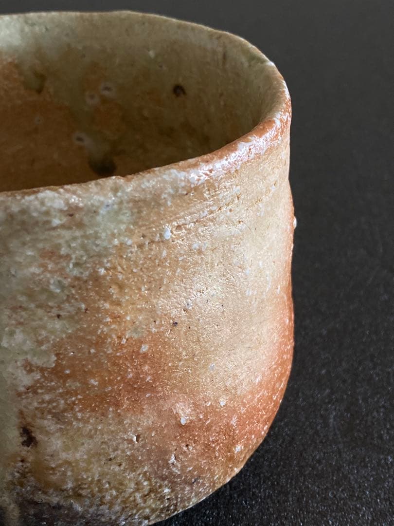 信楽焼　茶碗　井村侊生　　#103