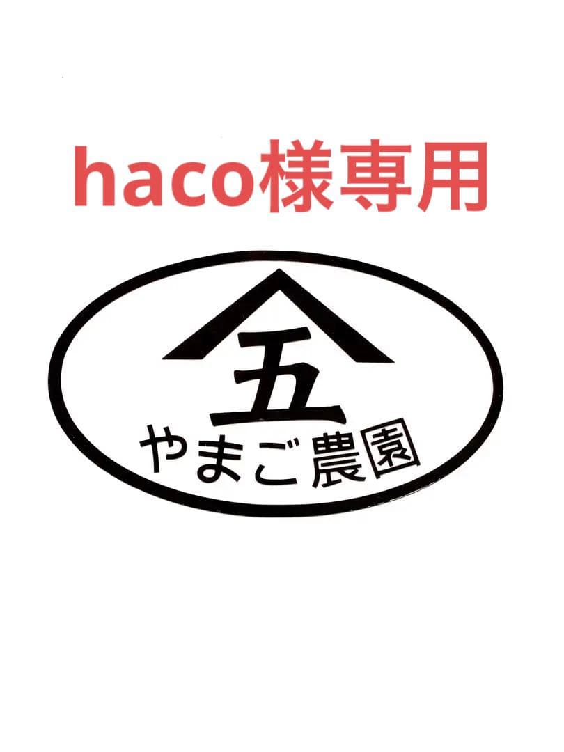 果物 37 haco