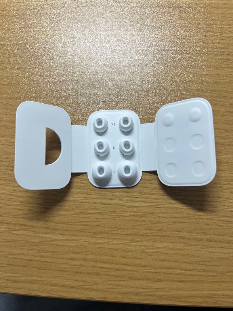 イヤホン Apple AirPods pro2 type C