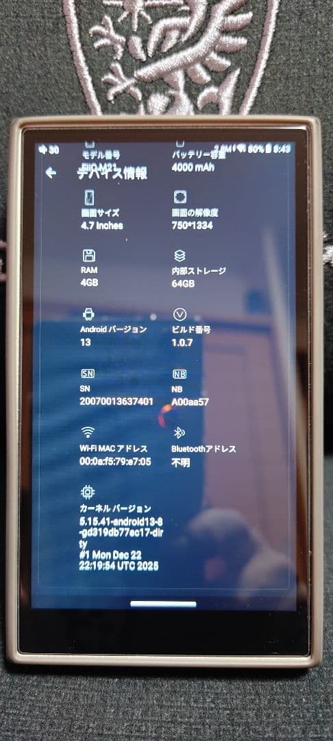 FIIO M21 正規輸入品