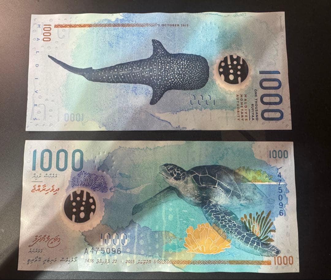 モルディブ 1000ルフィア（MVR）紙幣（海亀・ジンベイザメ）