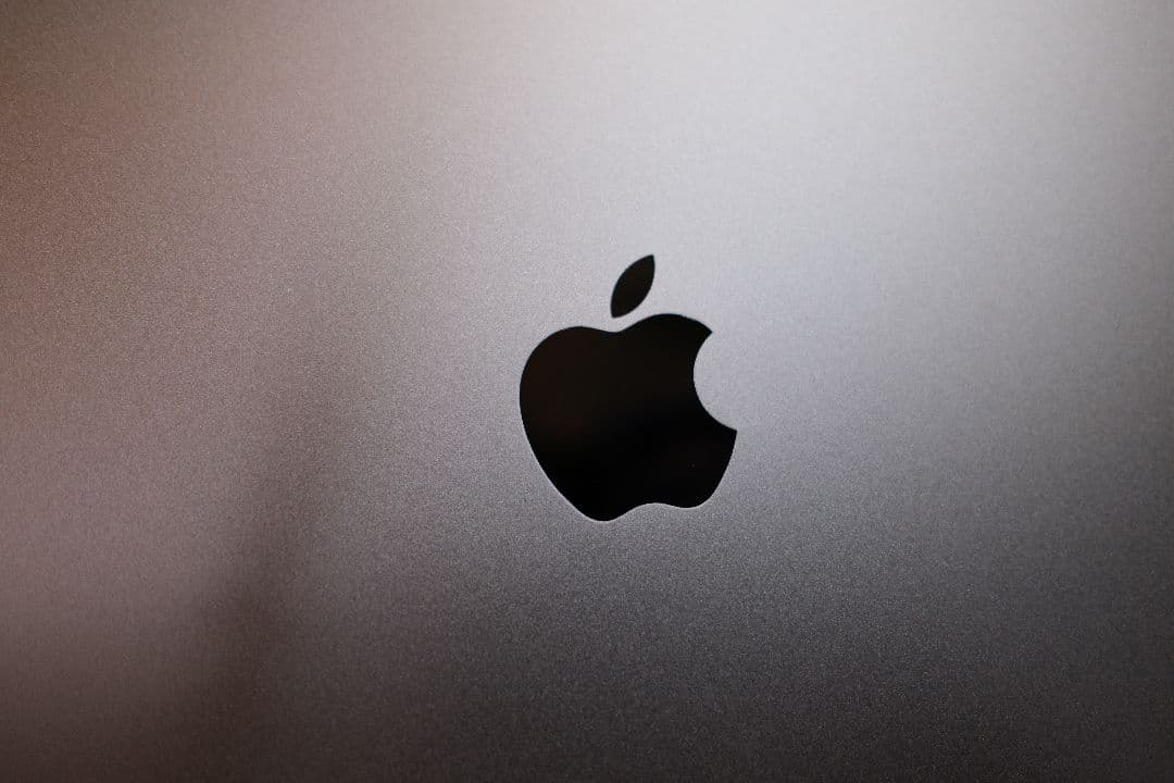 美品 iPadPro 12.9インチ 第5世代 256GB cellular