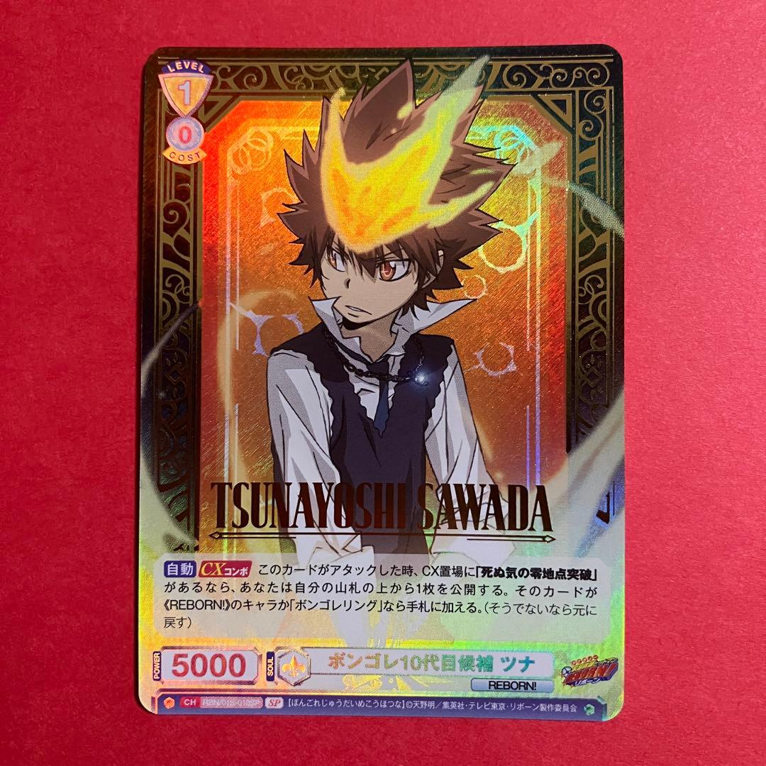 ヴァイスシュヴァルツブラウ　ボンゴレ10代目候補ツナ　TD SP リボーン