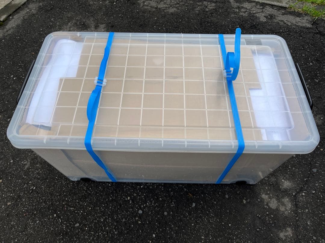 鹿の角 15本セット プラスチックケース付き