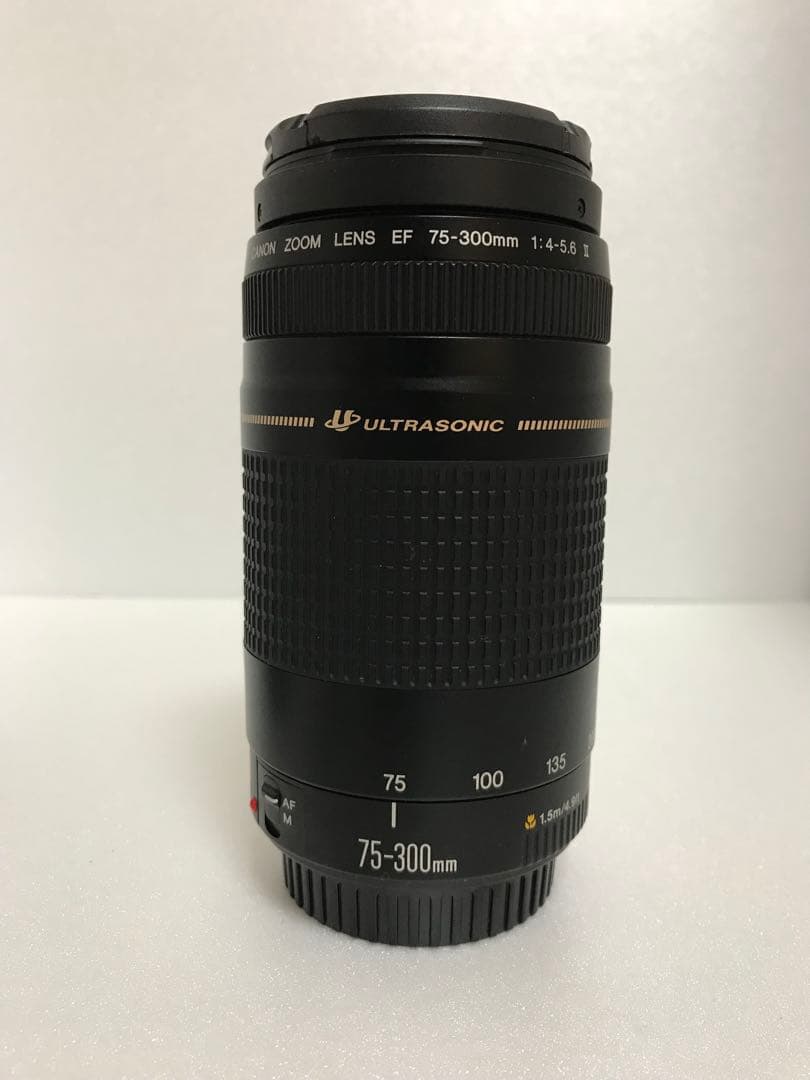 キヤノン/フード付き/人気の望遠レンズ/Canon EF75-300㎜