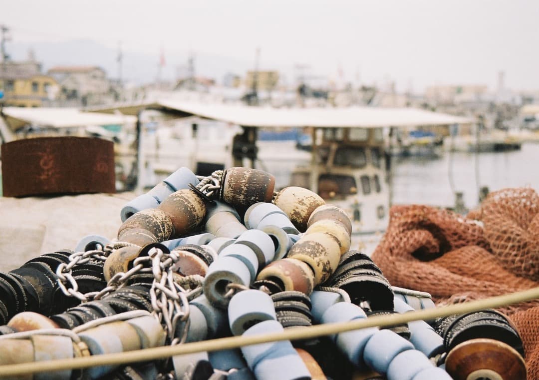 動作品・実写確認済 Canon EOS 55＋EF35-135mm f4-5.6