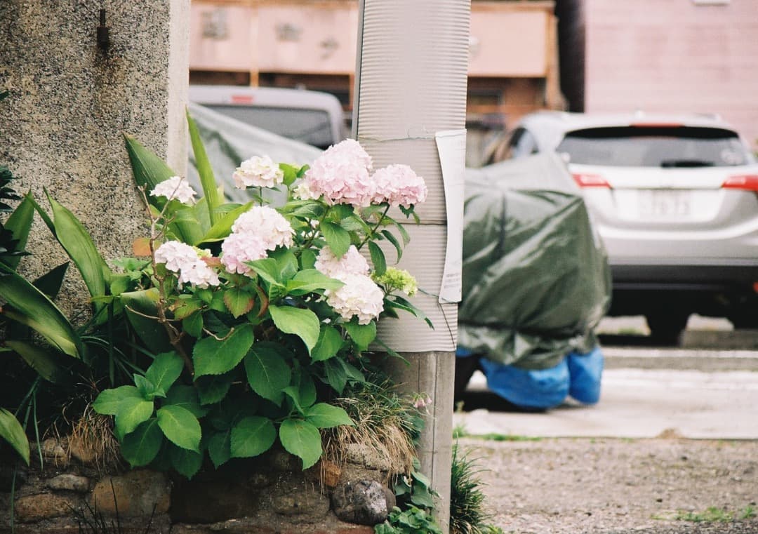 動作品・実写確認済 Canon EOS 55＋EF35-135mm f4-5.6